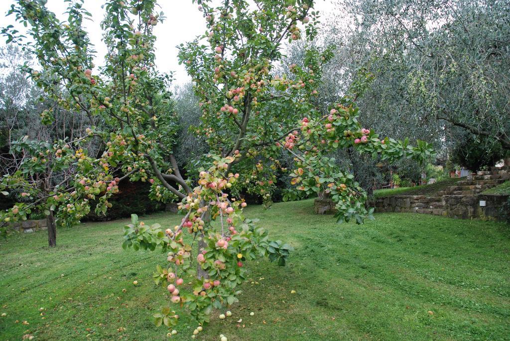 Podere Le Buche Pelago Exteriör bild
